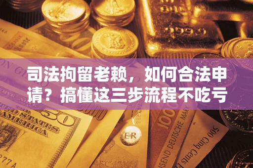 济南司法拘留老赖，如何合法申请？搞懂这三步流程不吃亏！
