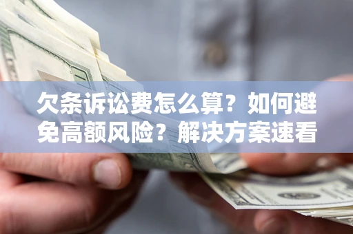 济南欠条诉讼费怎么算？如何避免高额风险？解决方案速看！