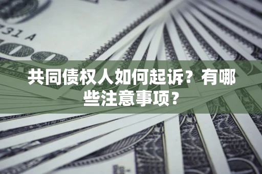 济南共同债权人如何起诉？有哪些注意事项？